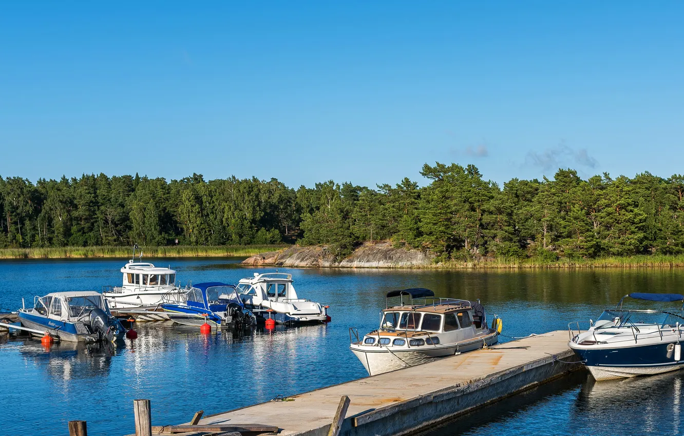 Photo wallpaper forest, trees, river, shore, pier, boat, Sweden, Stockholm