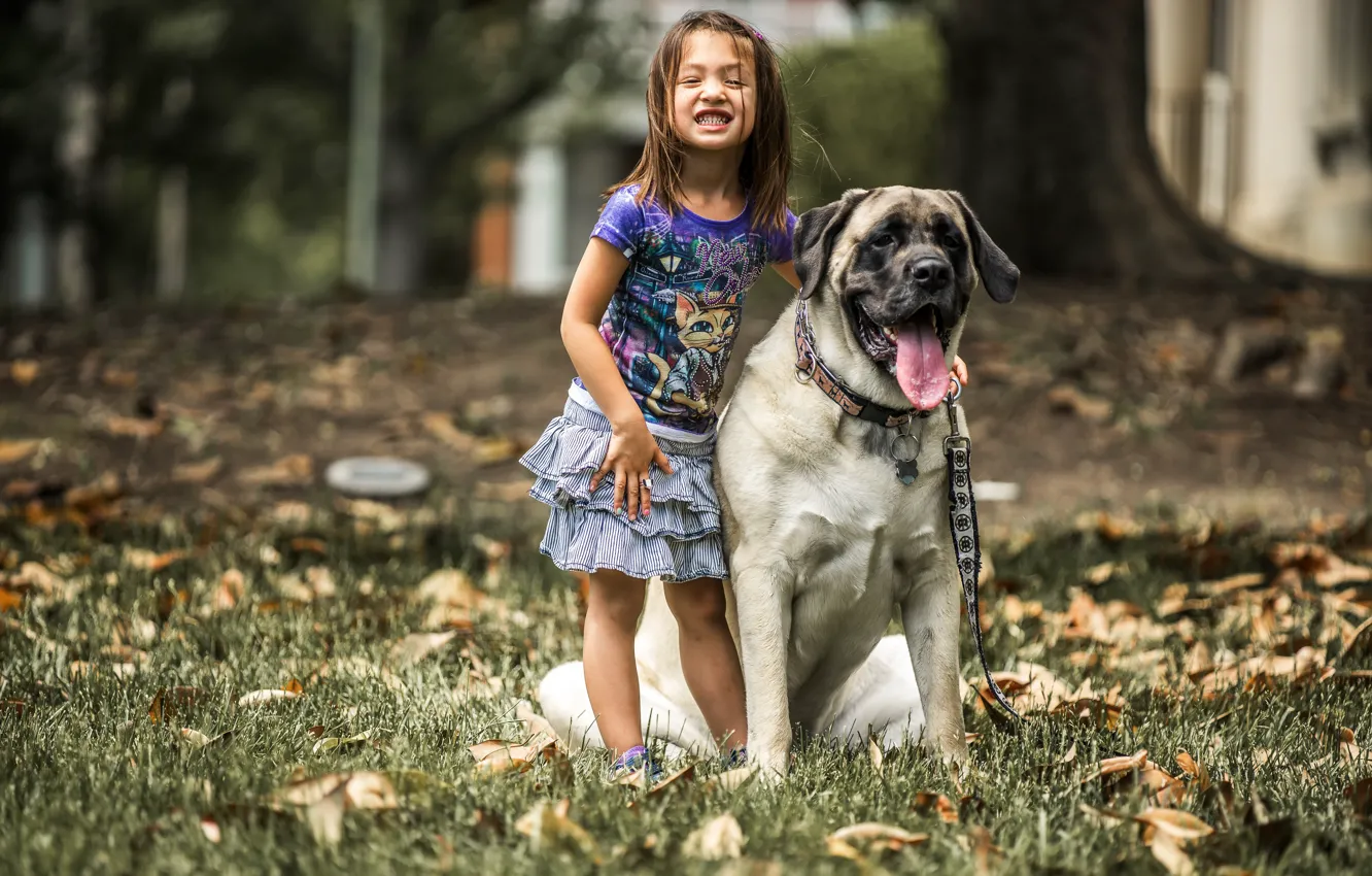 Photo wallpaper mood, dog, girl