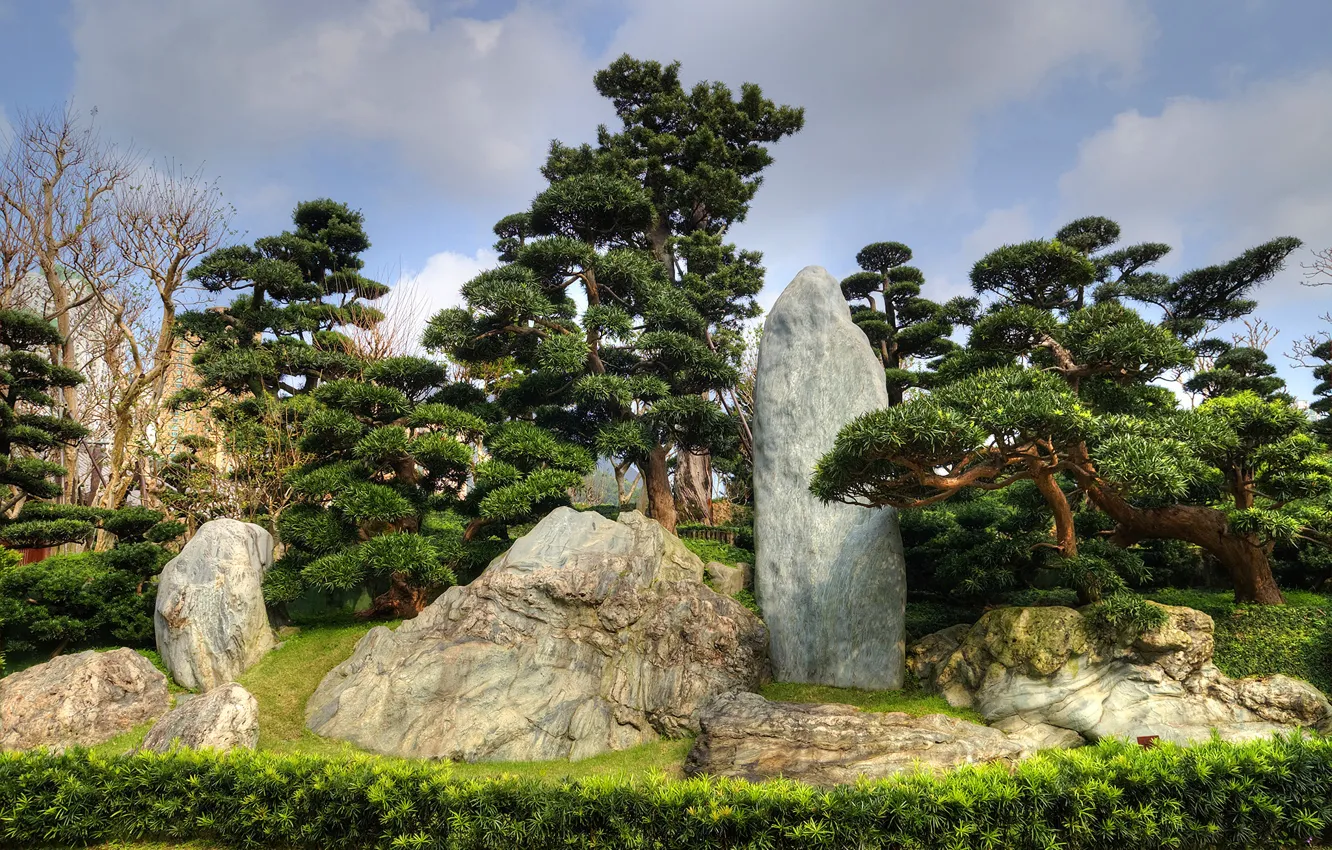Photo wallpaper grass, trees, Park, stones, Hong Kong, China, Nan Lian Garden