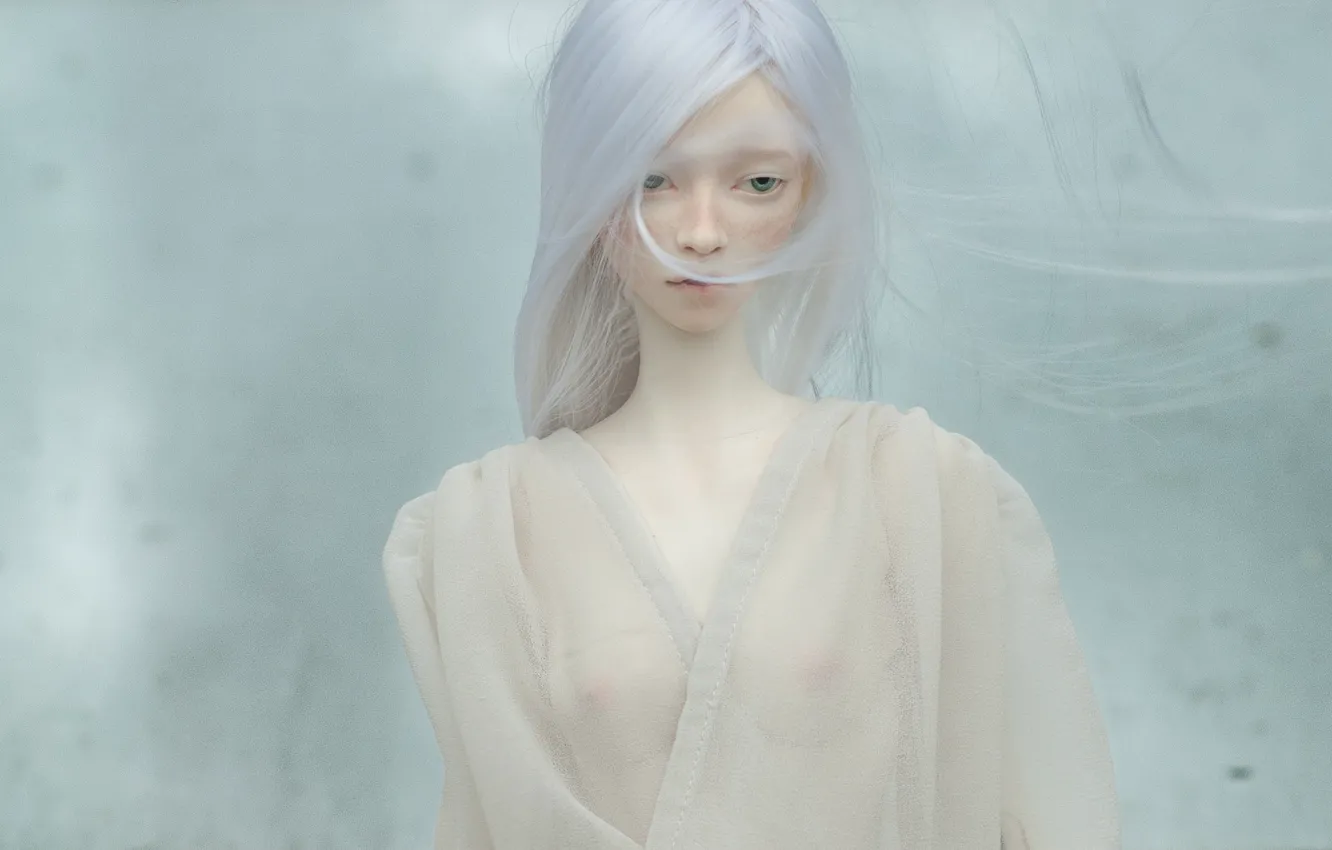 Photo wallpaper face, hair, doll