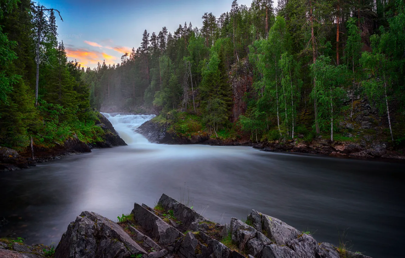 Photo wallpaper forest, river, morning