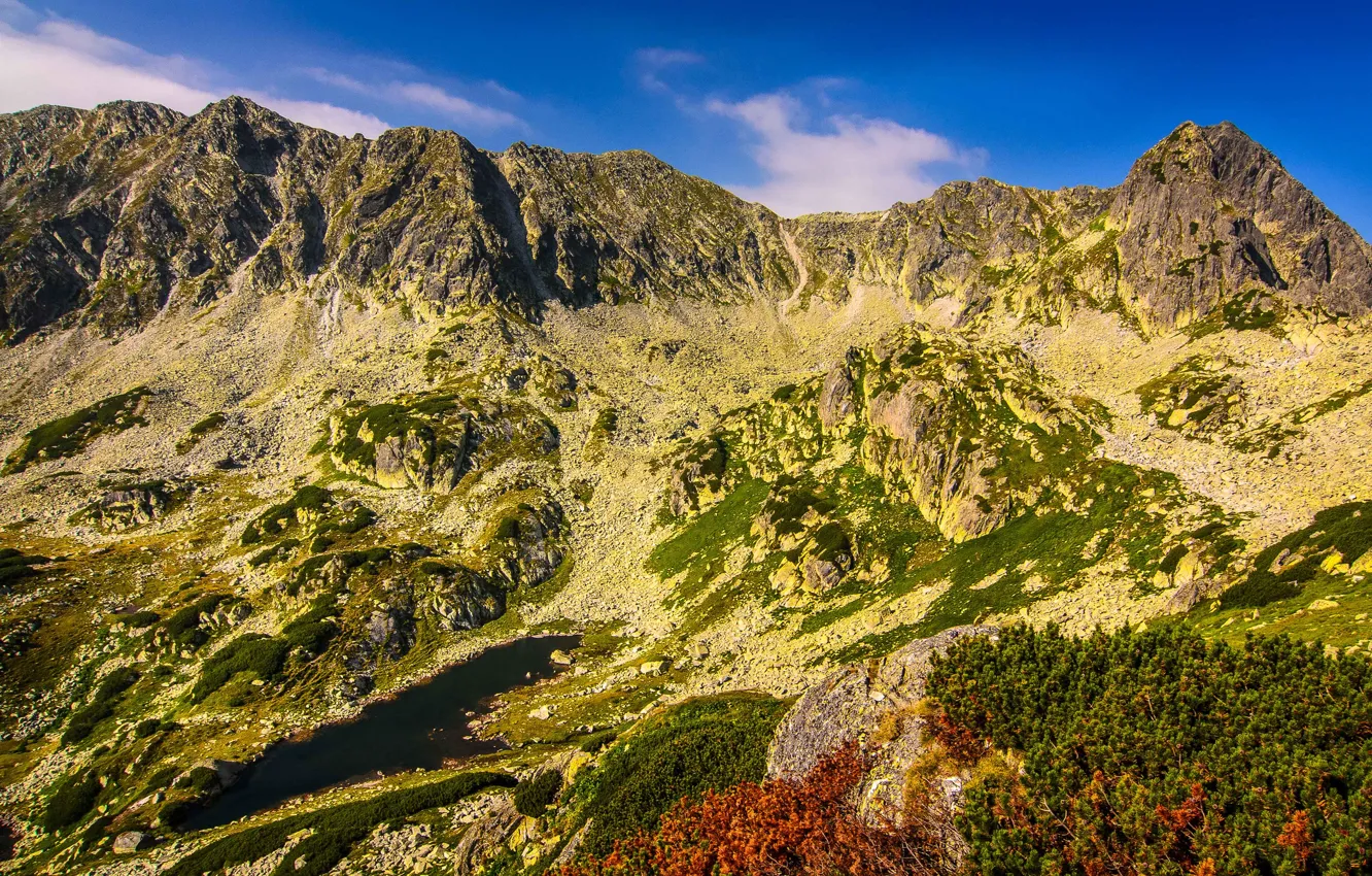Photo wallpaper the sky, clouds, mountains, plant, slope
