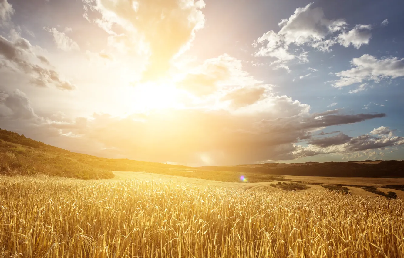 Photo wallpaper field, the sky, the sun, clouds, light, hills, rye, space