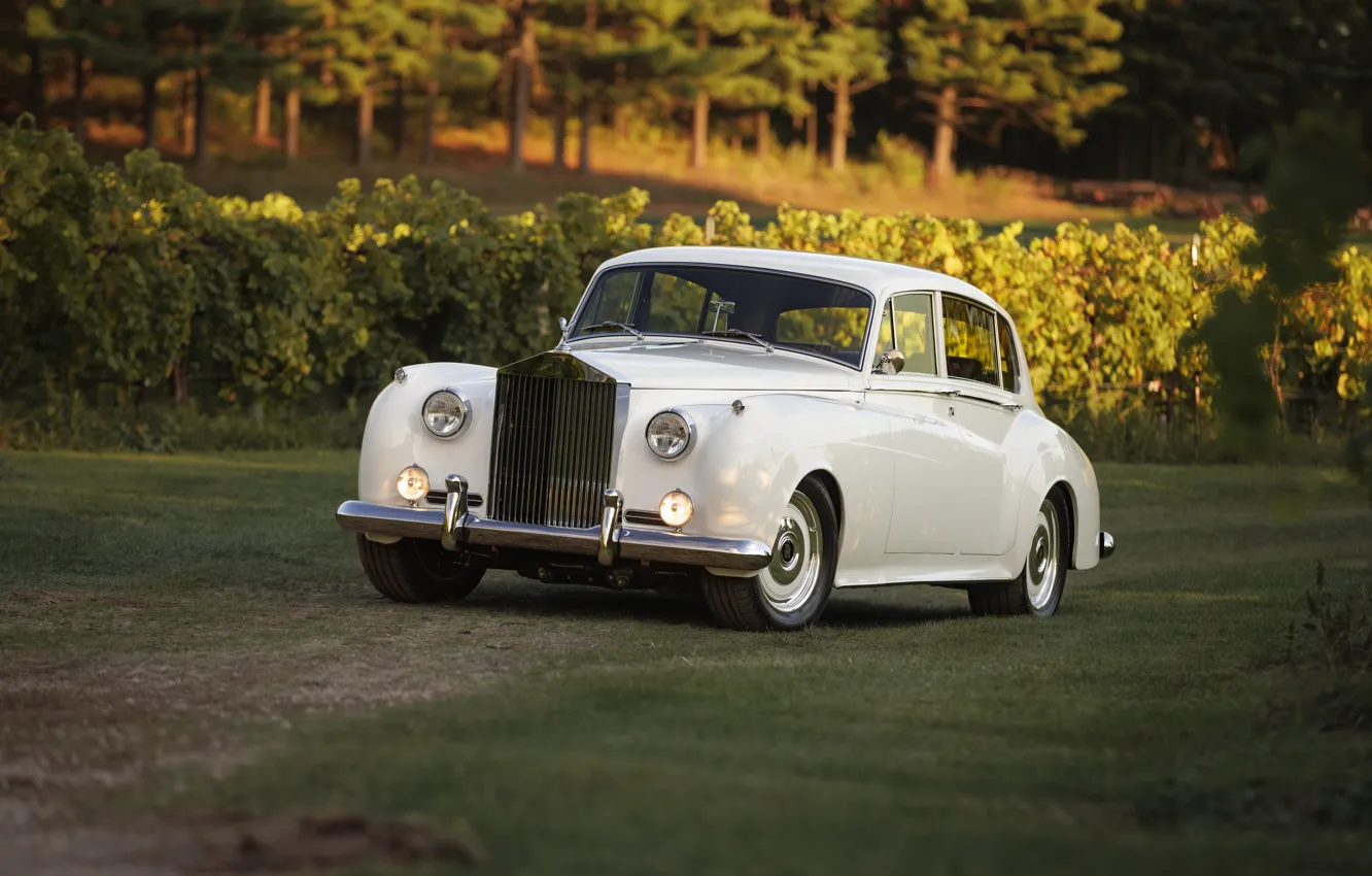 Photo wallpaper Rolls-Royce, 1961, front view, Ringbrothers, Silver Cloud, Rolls-Royce Silver Cloud II, Rolls-Royce Silver Cloud II …