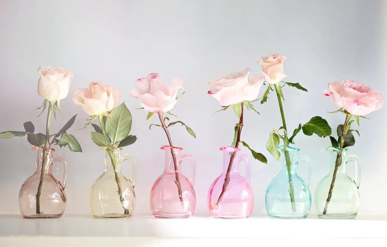 Photo wallpaper roses, buds, vessels, © Elena Di Guardo