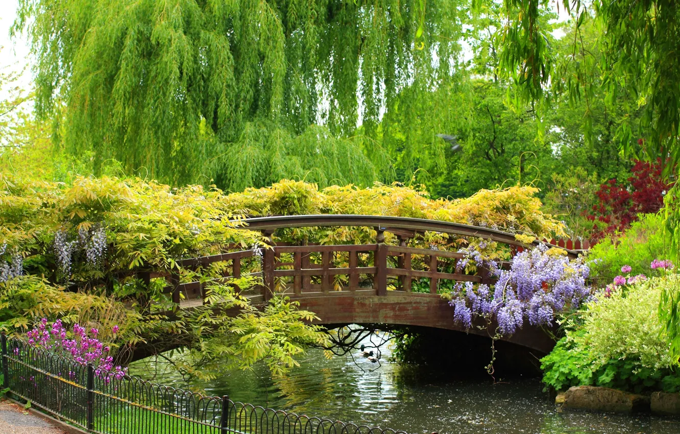 Photo wallpaper trees, flowers, Park, beauty, plants, fence, river, the bridge