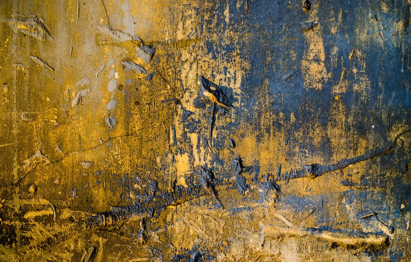 Photo wallpaper wall, color, texture