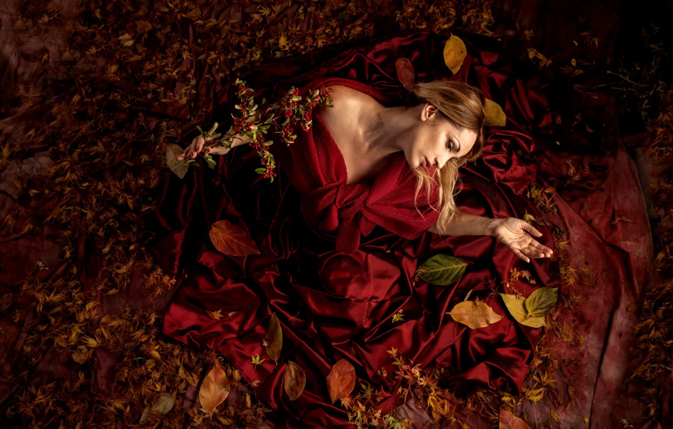 Photo wallpaper leaves, berries, fantasy, woman, branch, Recipes