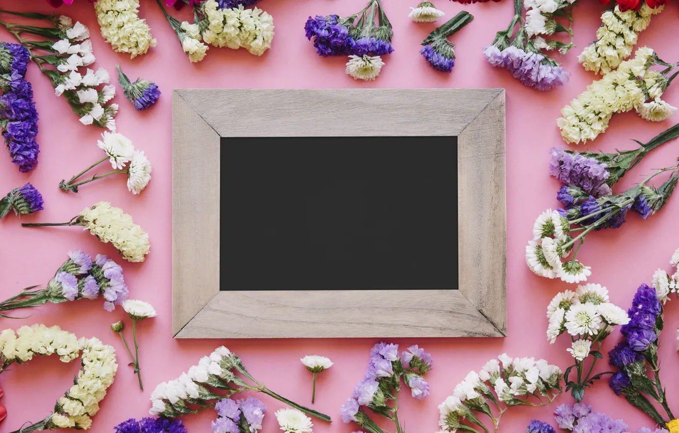 Photo wallpaper flowers, spring, frame, colorful, chrysanthemum, wood, flowers, spring