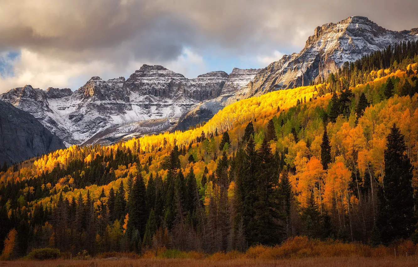 Photo wallpaper autumn, forest, mountains