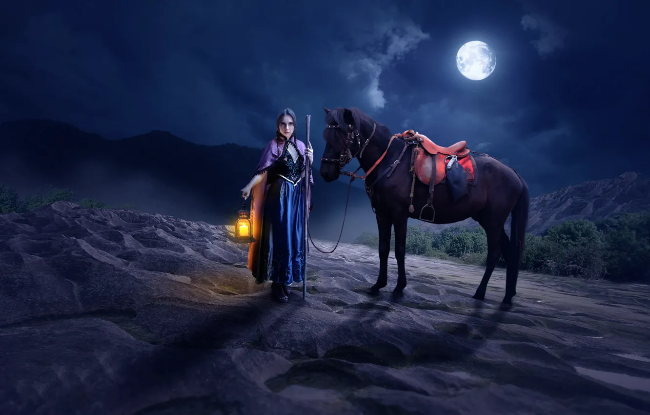 Photo wallpaper girl, night, horse, the moon, lights, Imaginarium