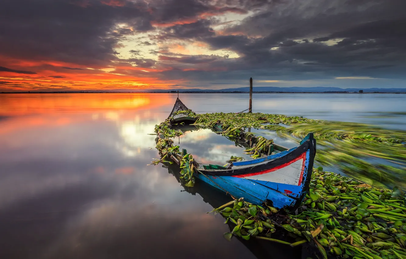 Photo wallpaper sunset, boat, pond