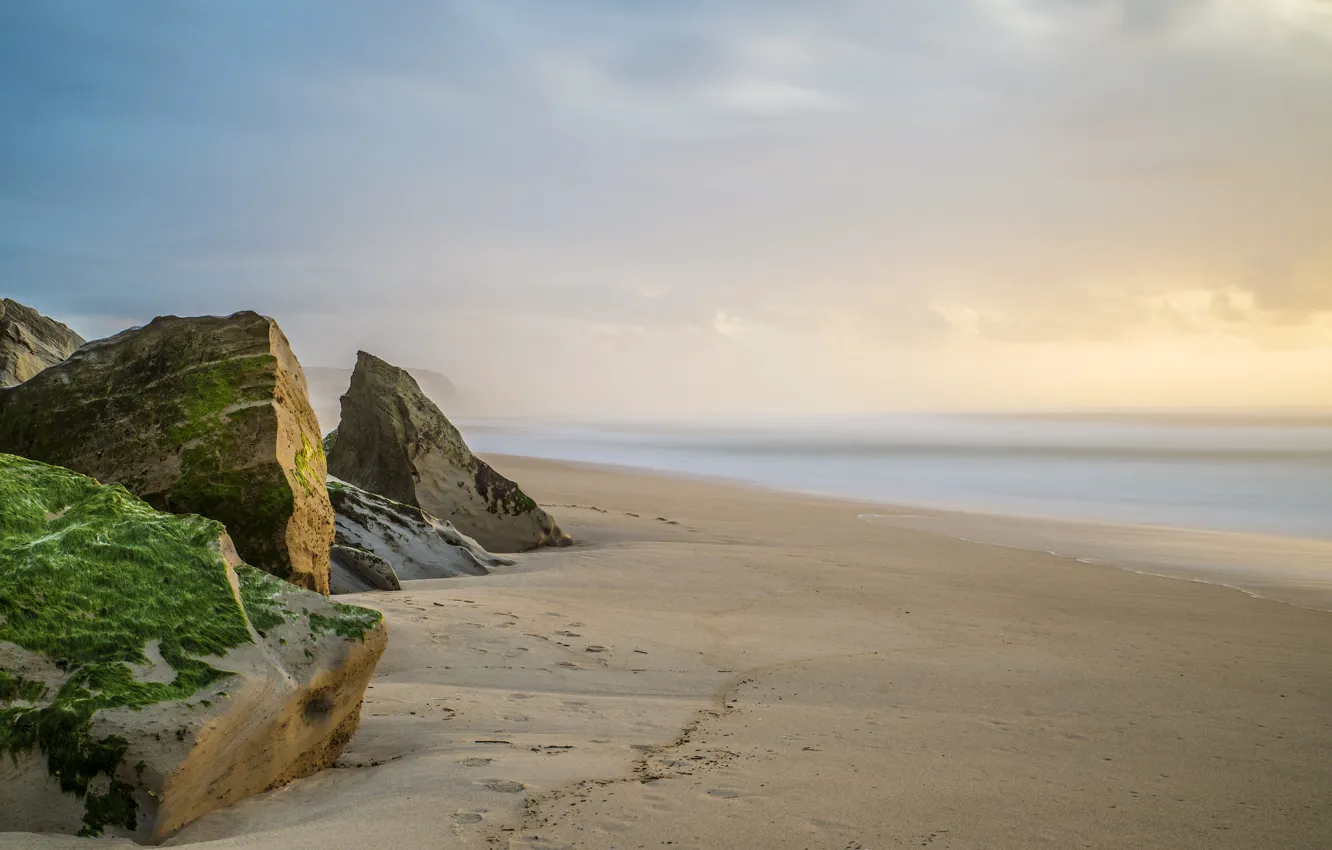 Photo wallpaper sand, sea, stones, moss
