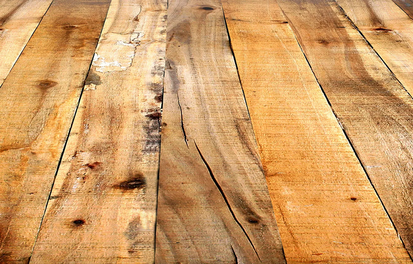 Photo wallpaper tree, Board, flooring