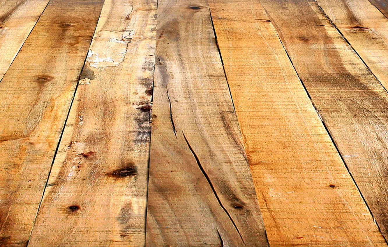 Photo wallpaper trees, Board, flooring