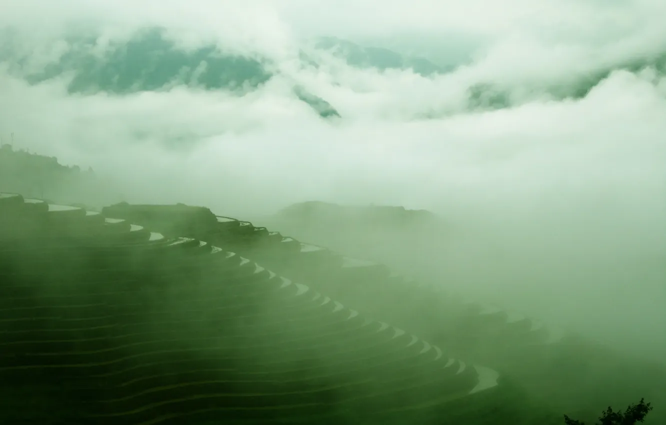 Photo wallpaper forest, the sky, clouds, trees, landscape, mountains, nature, fog