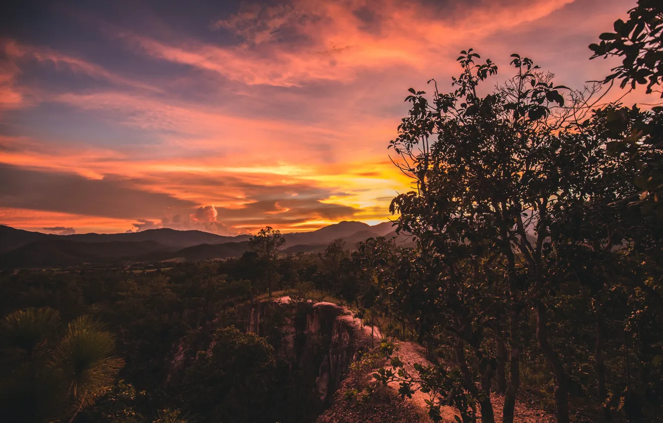 Photo wallpaper the sky, clouds, trees, sunset, mountains, nature, open