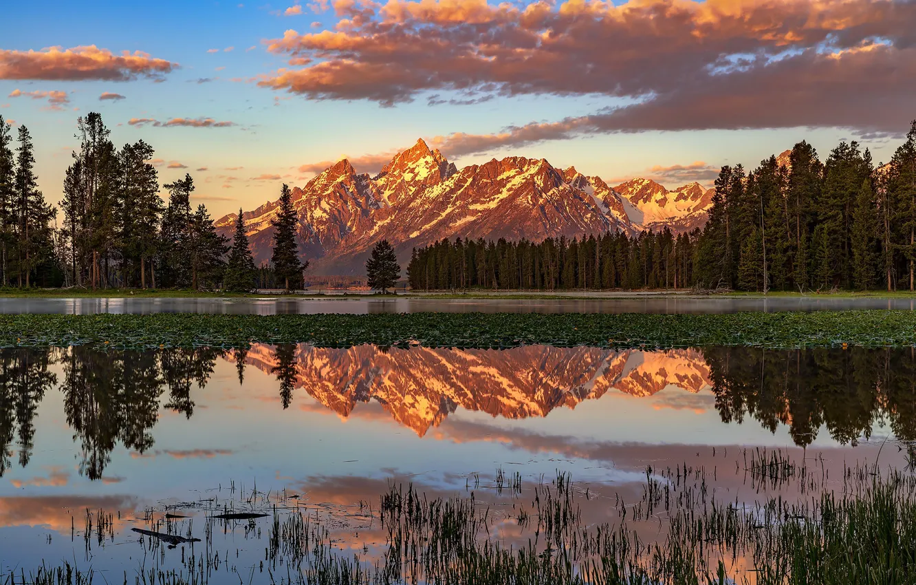 Photo wallpaper forest, light, mountains, reflection, shore, tops, ate