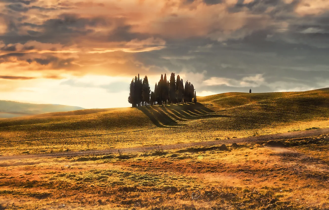 Photo wallpaper mountains, dawn, hills, cypress