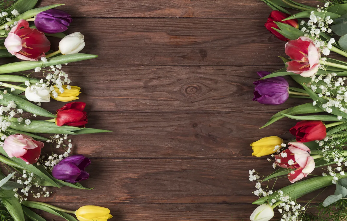 Photo wallpaper flowers, colorful, tulips, flowers, beautiful, tulips, spring, multicolored