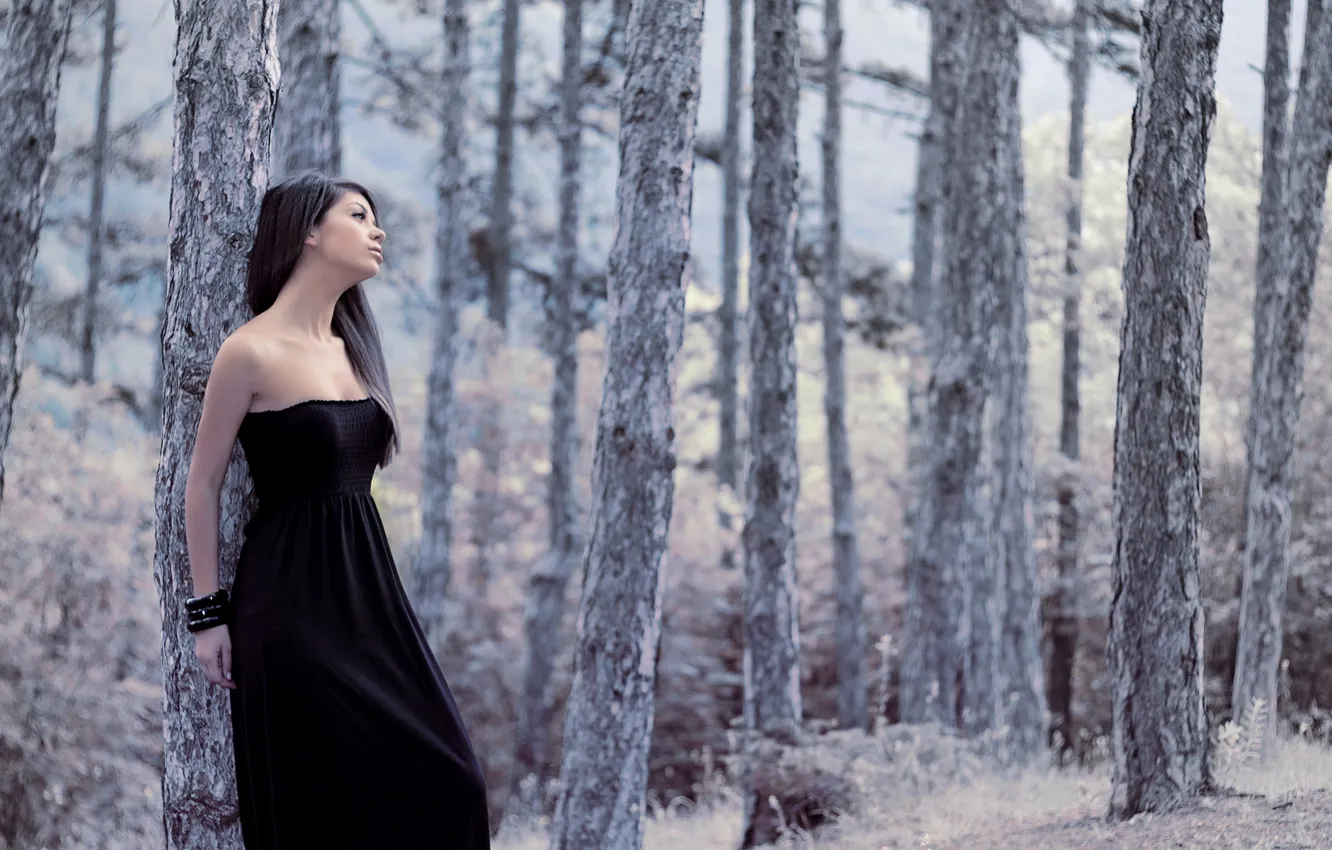 Photo wallpaper forest, girl, nature