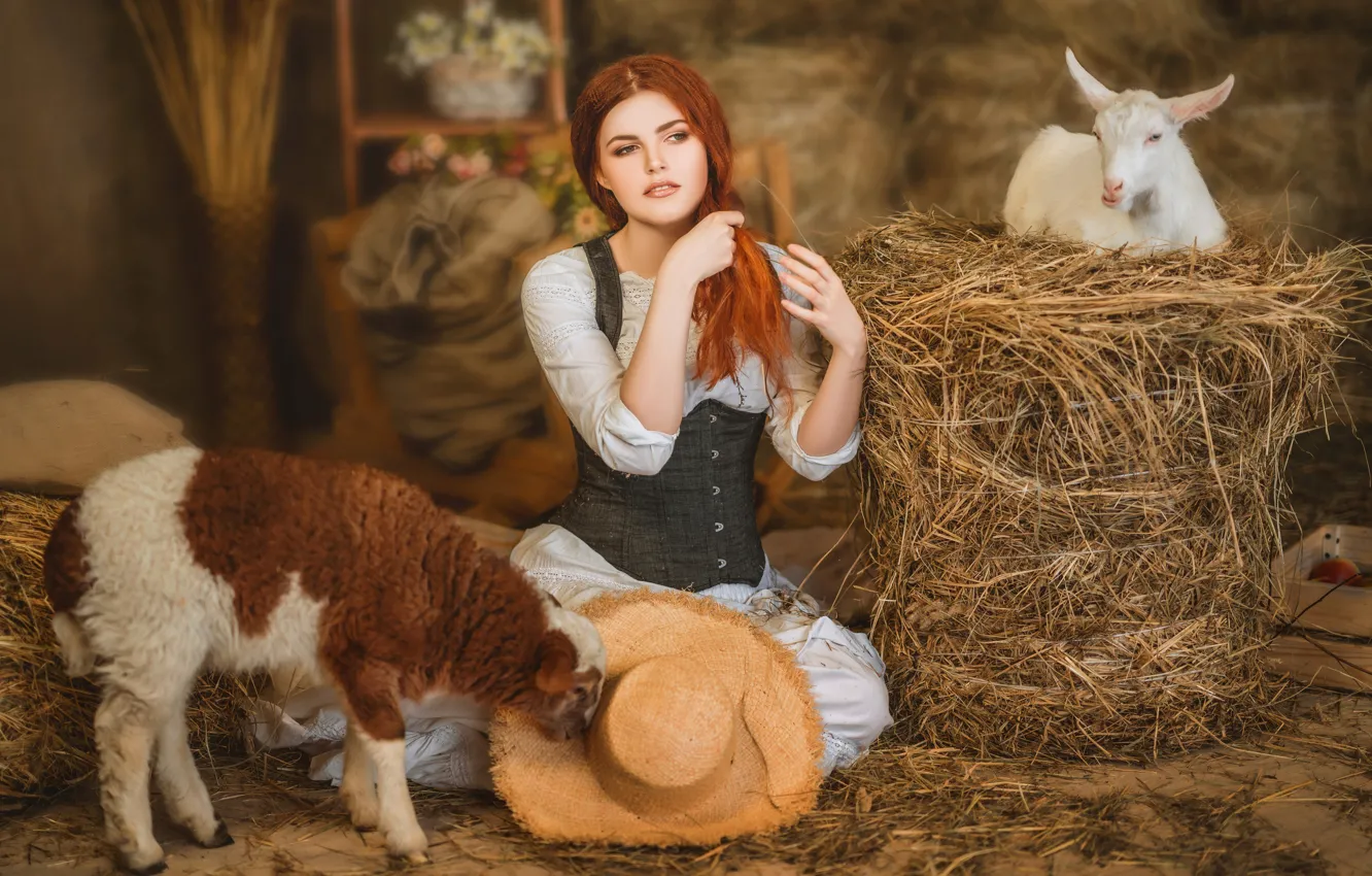 Photo wallpaper girl, hat, hay, red, lamb, redhead, sheep, goat