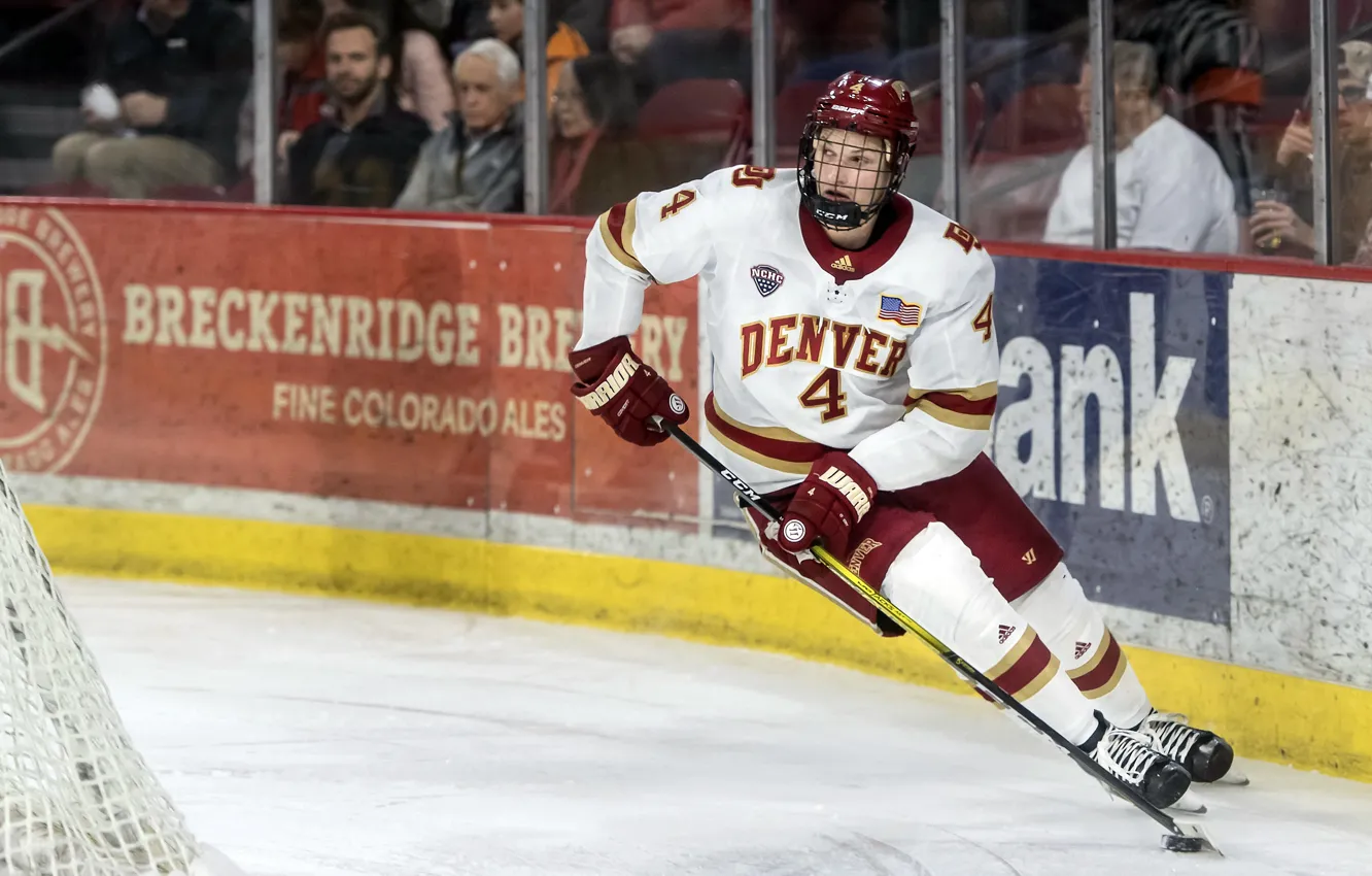 Photo wallpaper stick, washer, hockey player