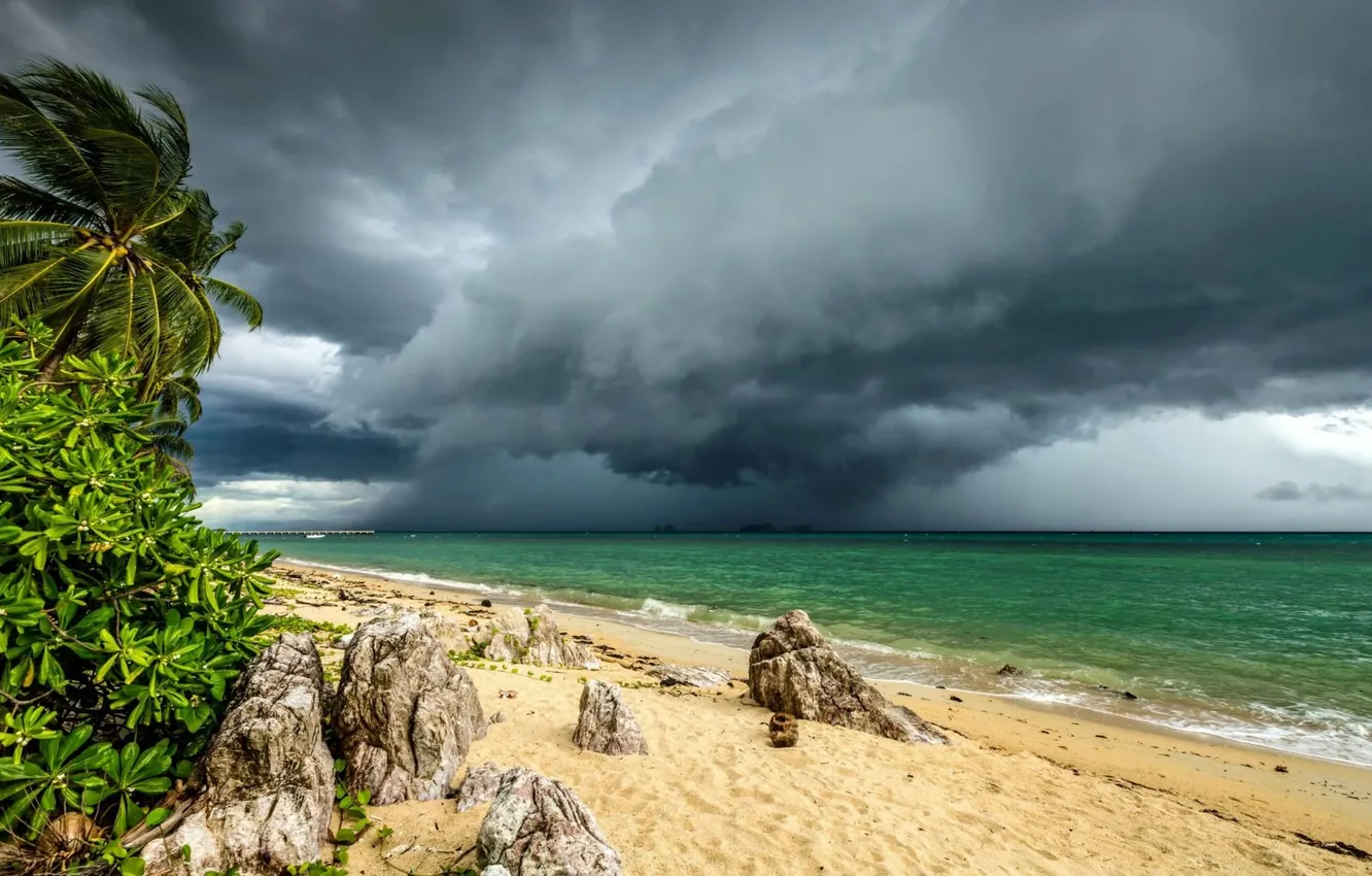 Photo wallpaper sand, wave, beach, the sky, clouds, storm, Palma, the ocean