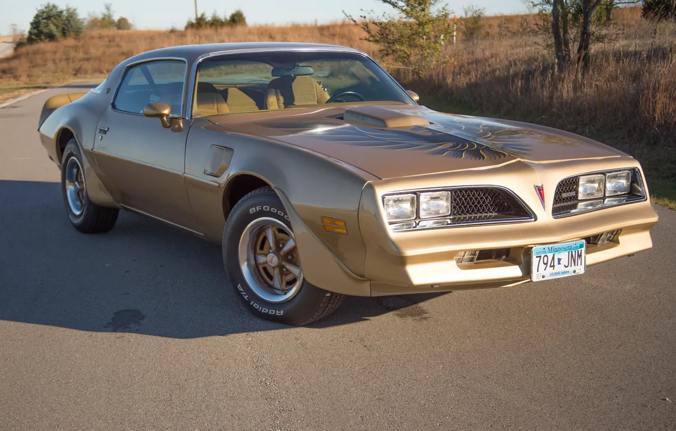 Photo wallpaper Pontiac, 1978, Gold, Trans