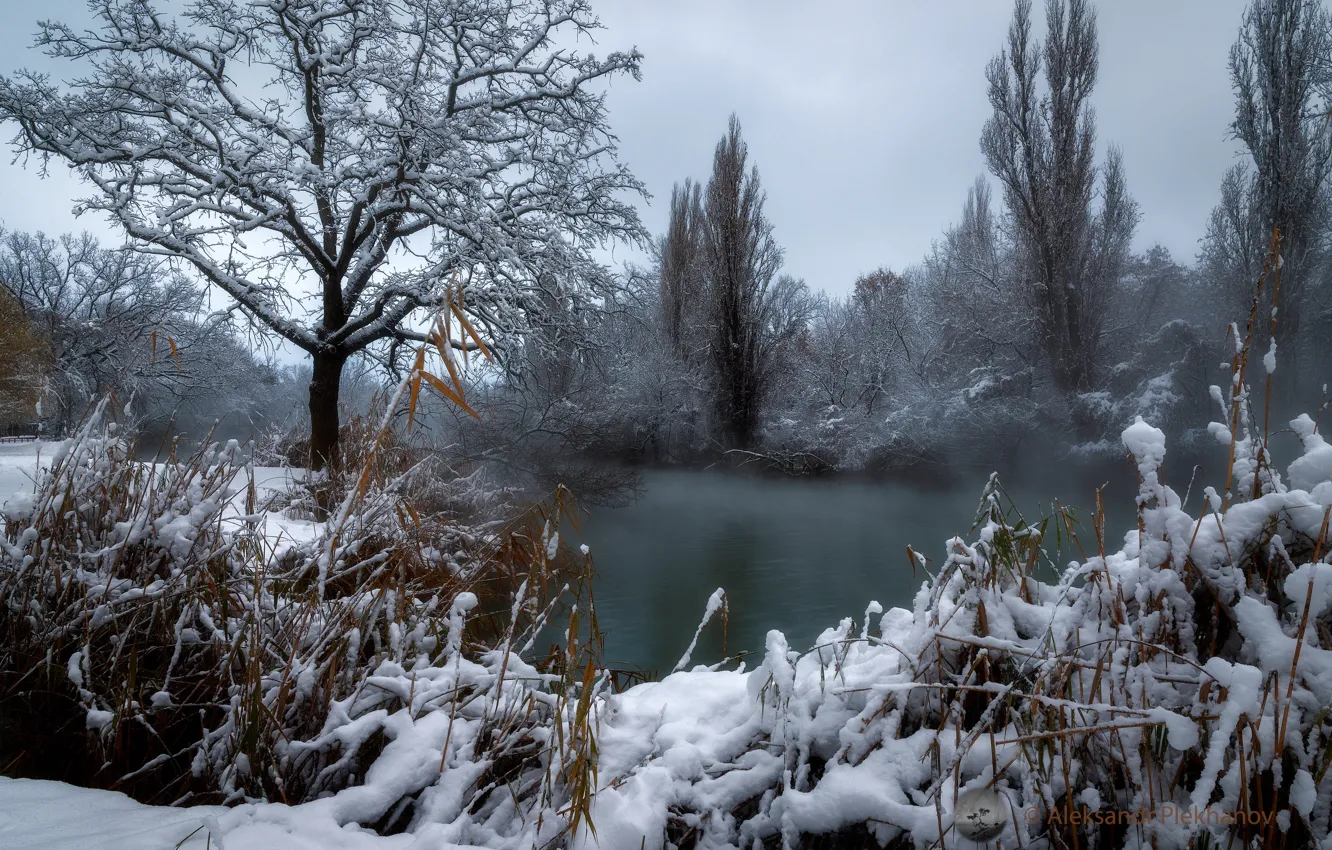 Photo wallpaper winter, water, snow, trees, landscape, nature, the bushes, Alexander Plekhanov