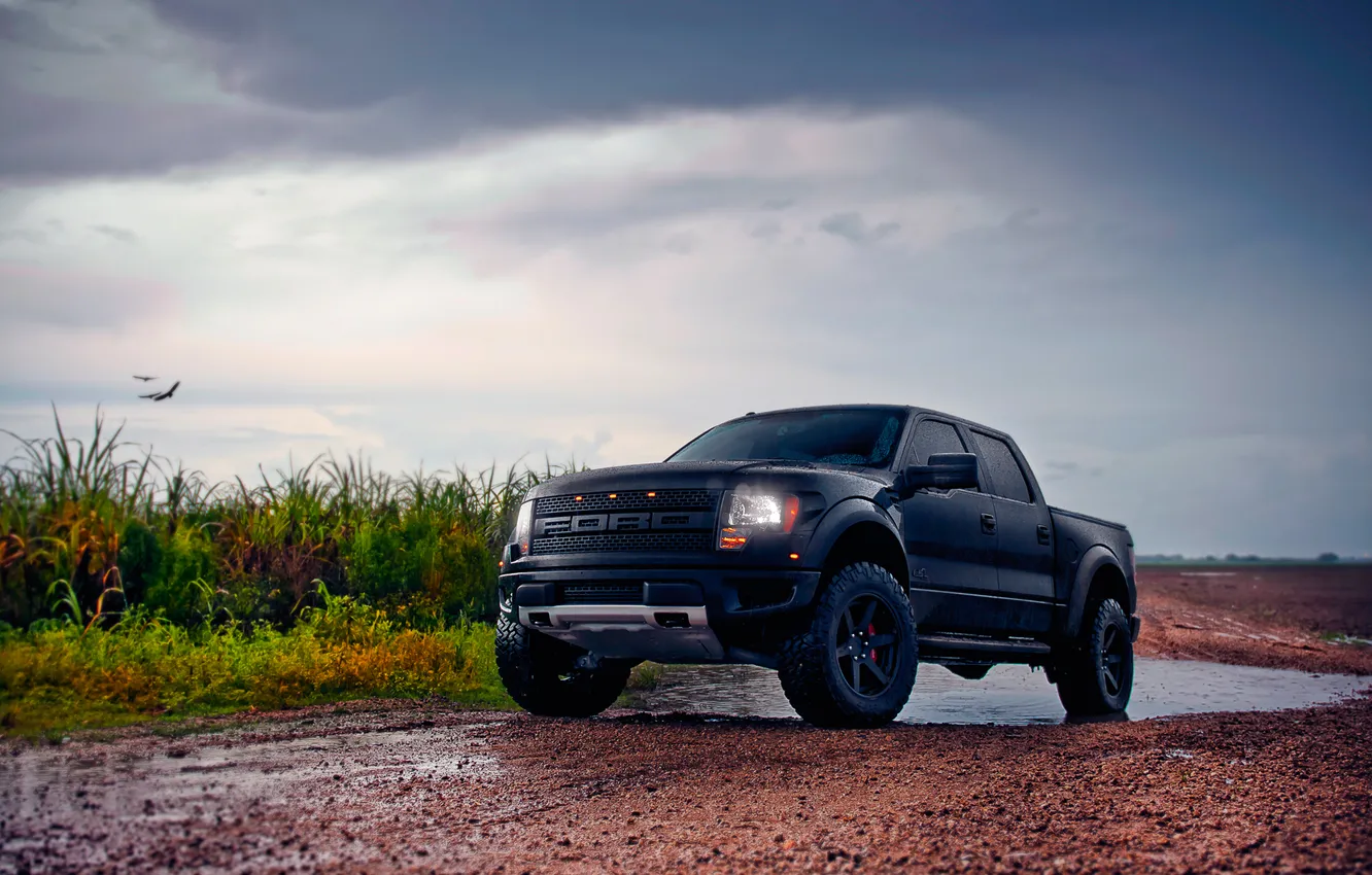 Photo wallpaper nature, Ford, Raptor, with slightly overcast, F-150, SVT, SuperCrew