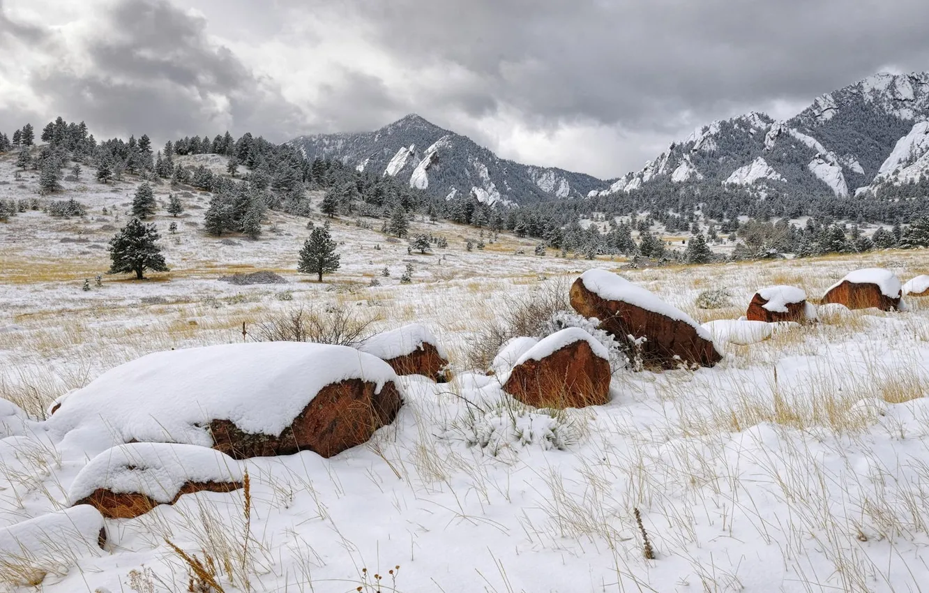 Photo wallpaper winter, forest, clouds, snow, mountains, stones, tops, coniferous