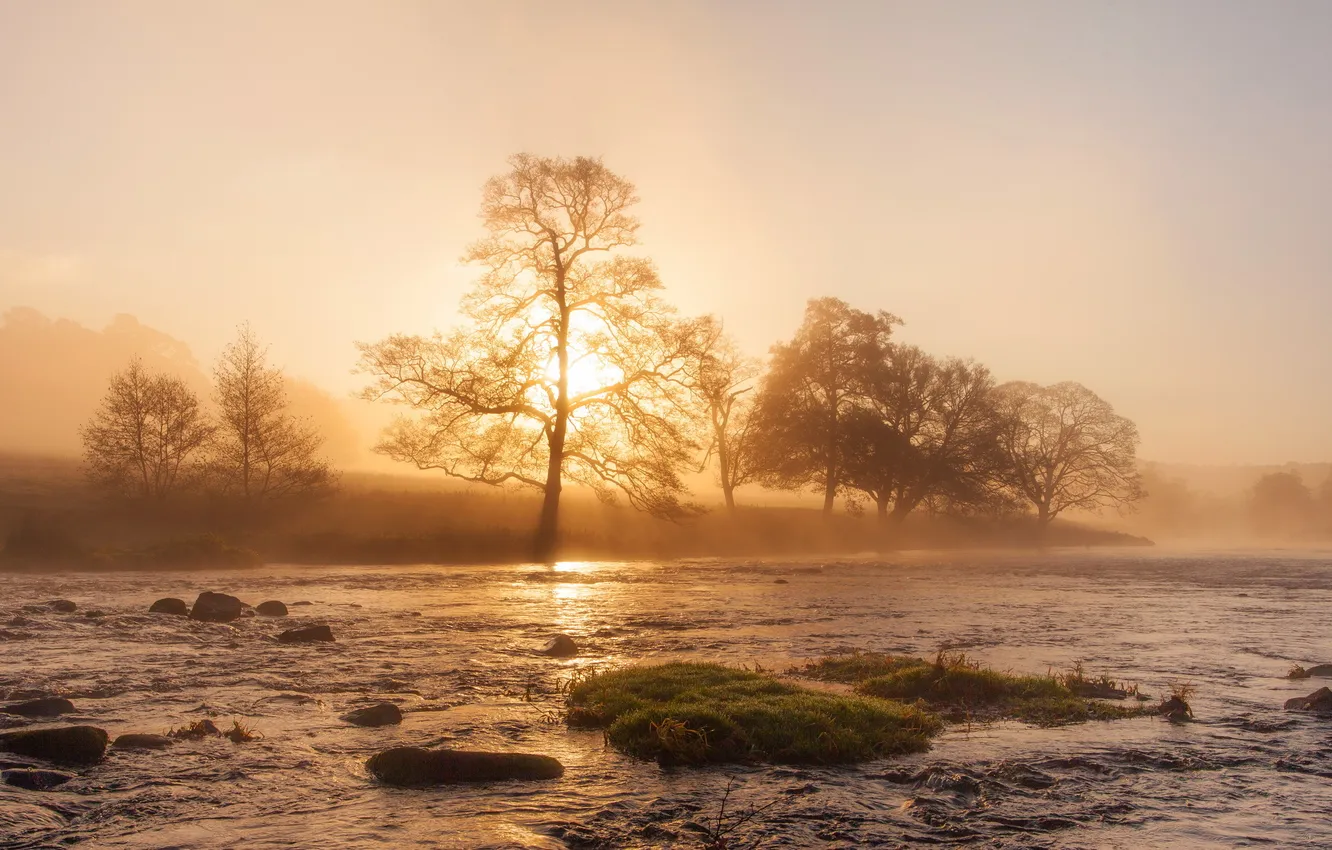 Photo wallpaper landscape, fog, sunrise, mist, Peak District, Chatsworth