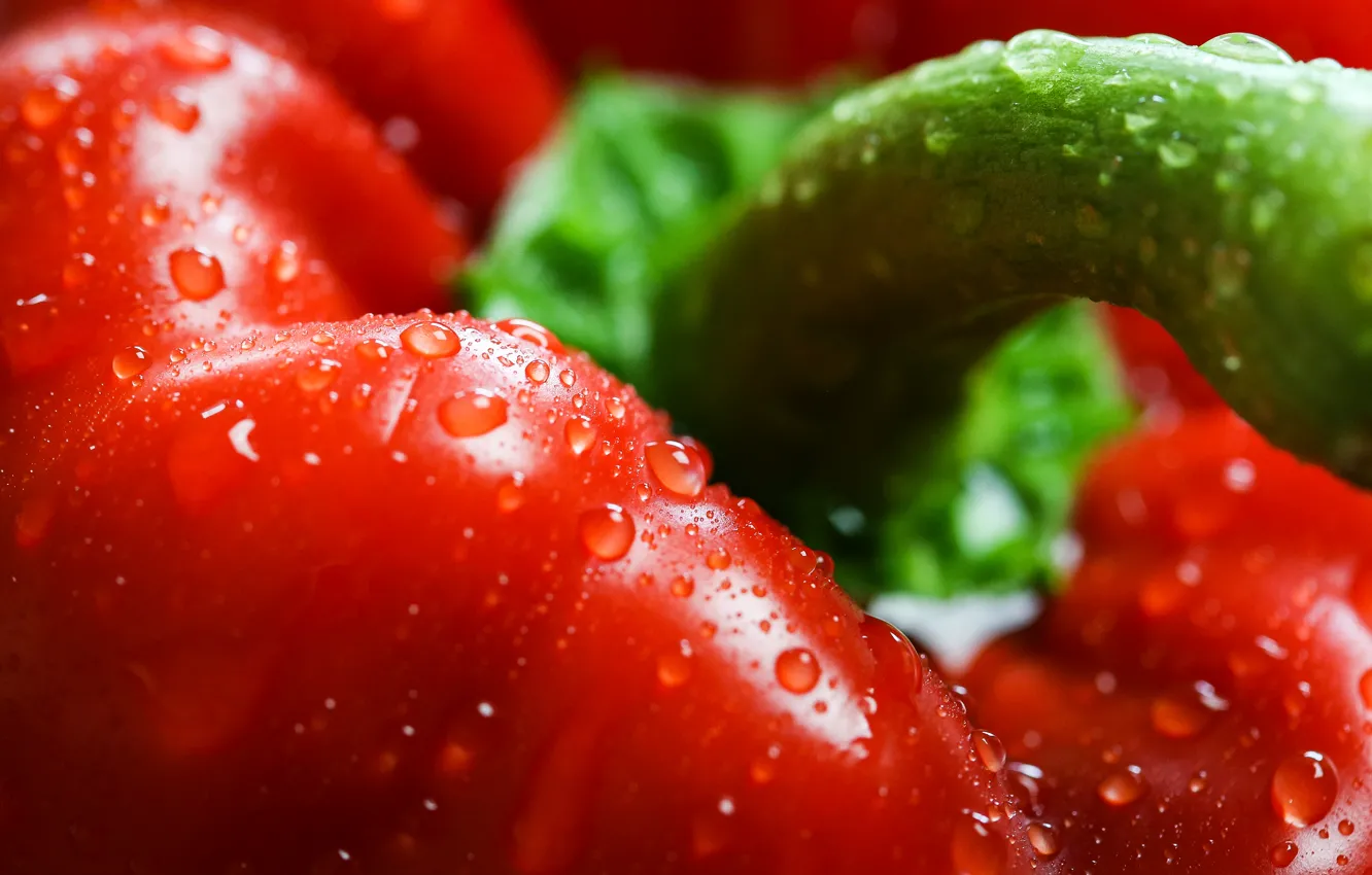 Photo wallpaper drops, macro, red, pepper, Red, sweet, Peppers