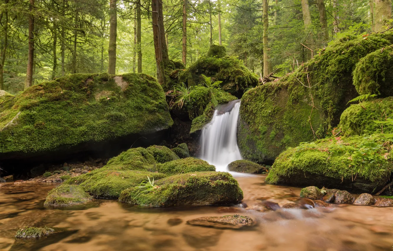 Photo wallpaper forest, stones, waterfall, moss, Germany, river, Germany, Baden-Württemberg