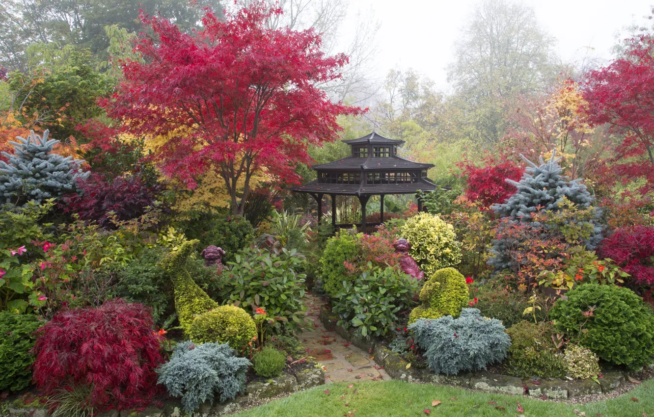 Photo wallpaper autumn, trees, fog, lawn, England, garden, gazebo, the bushes
