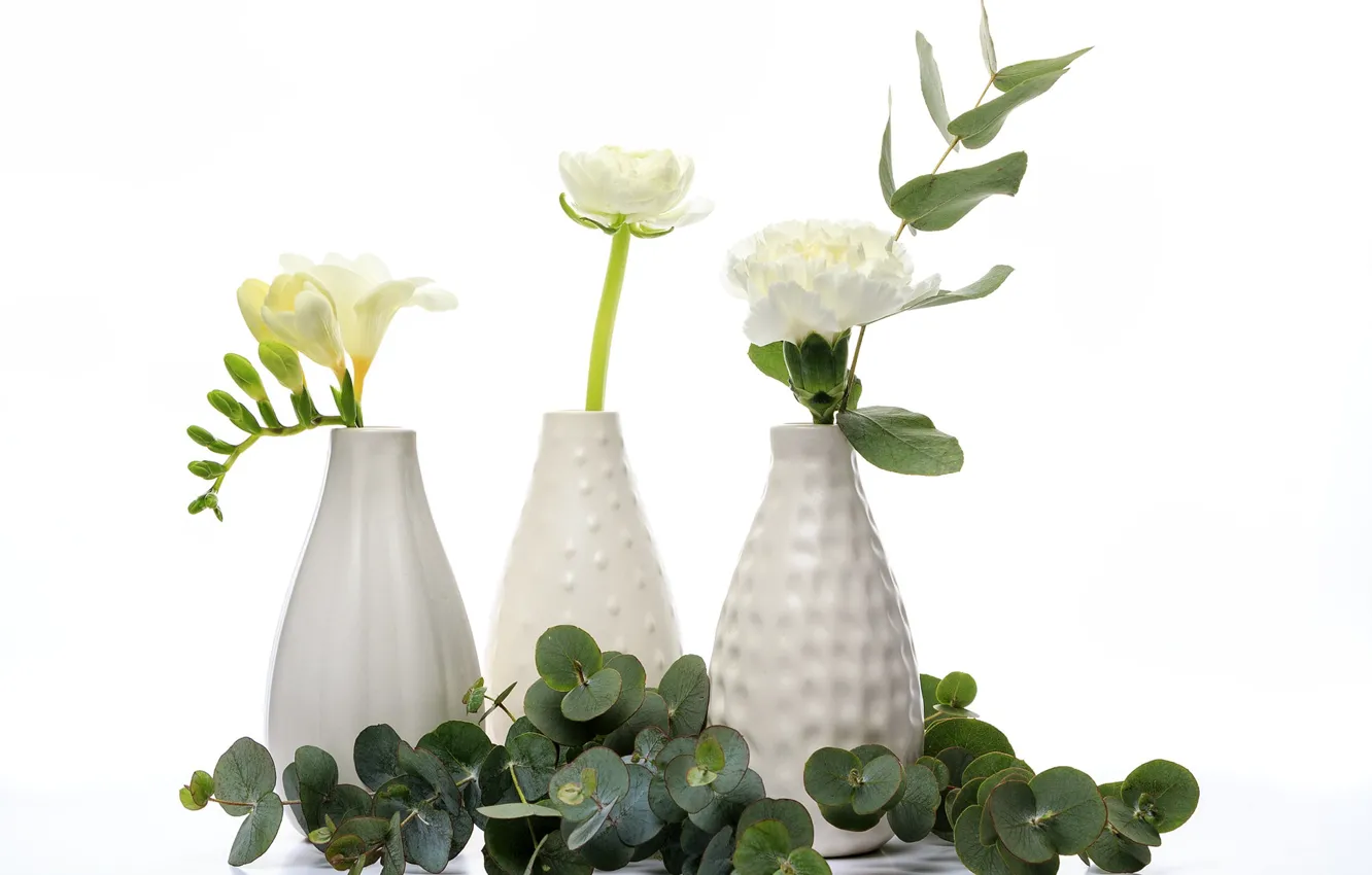 Photo wallpaper flowers, white background, vase