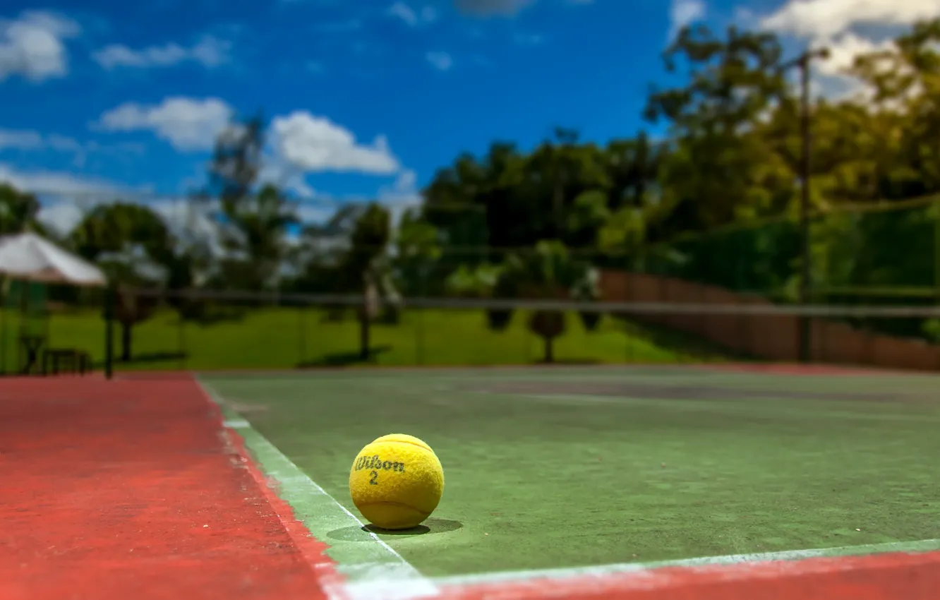 Photo wallpaper sport, the ball, tennis, court