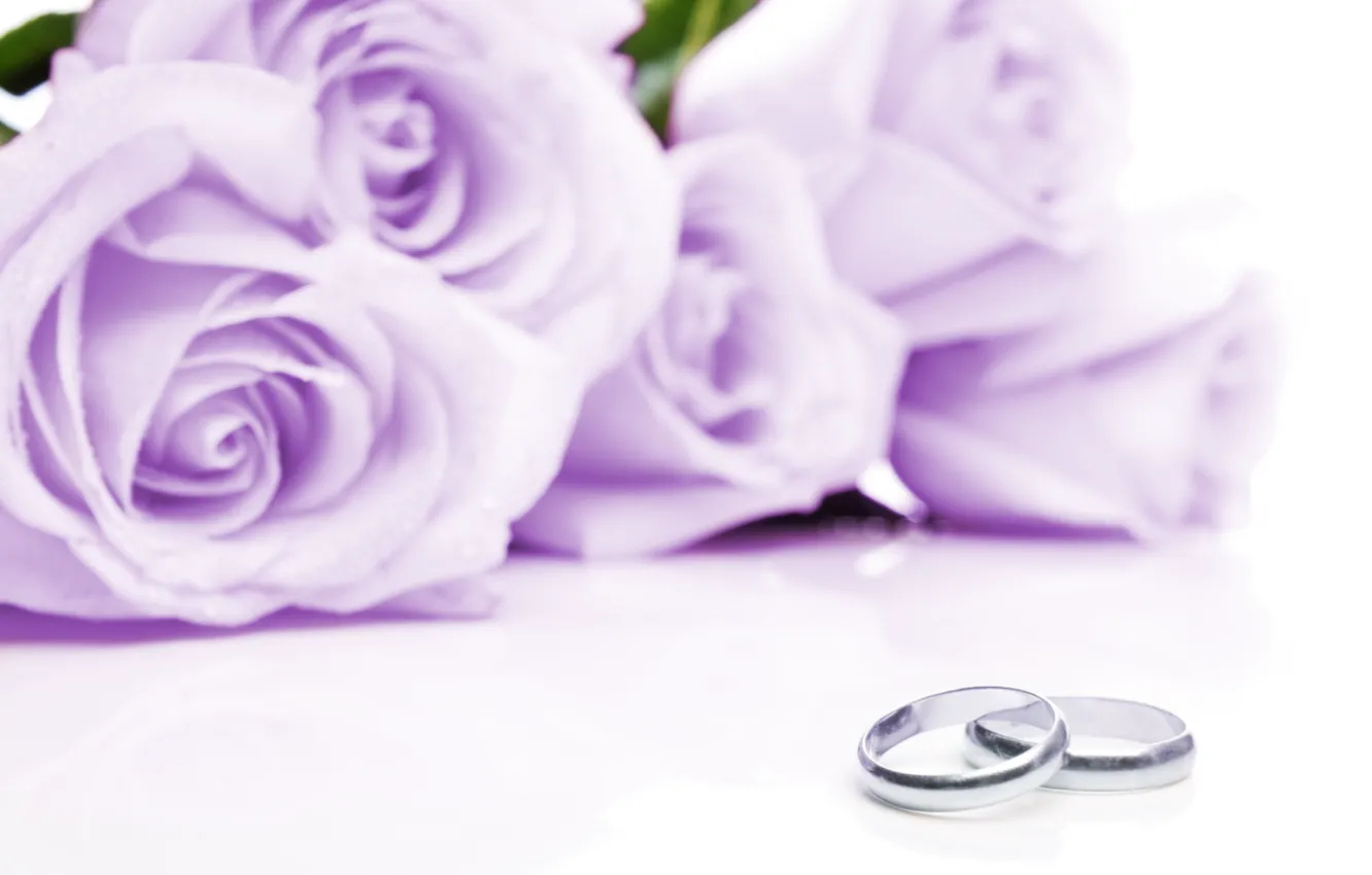 Photo wallpaper flowers, fabric, flowers, engagement rings, cloth, wedding rings, lilac roses, lilac roses