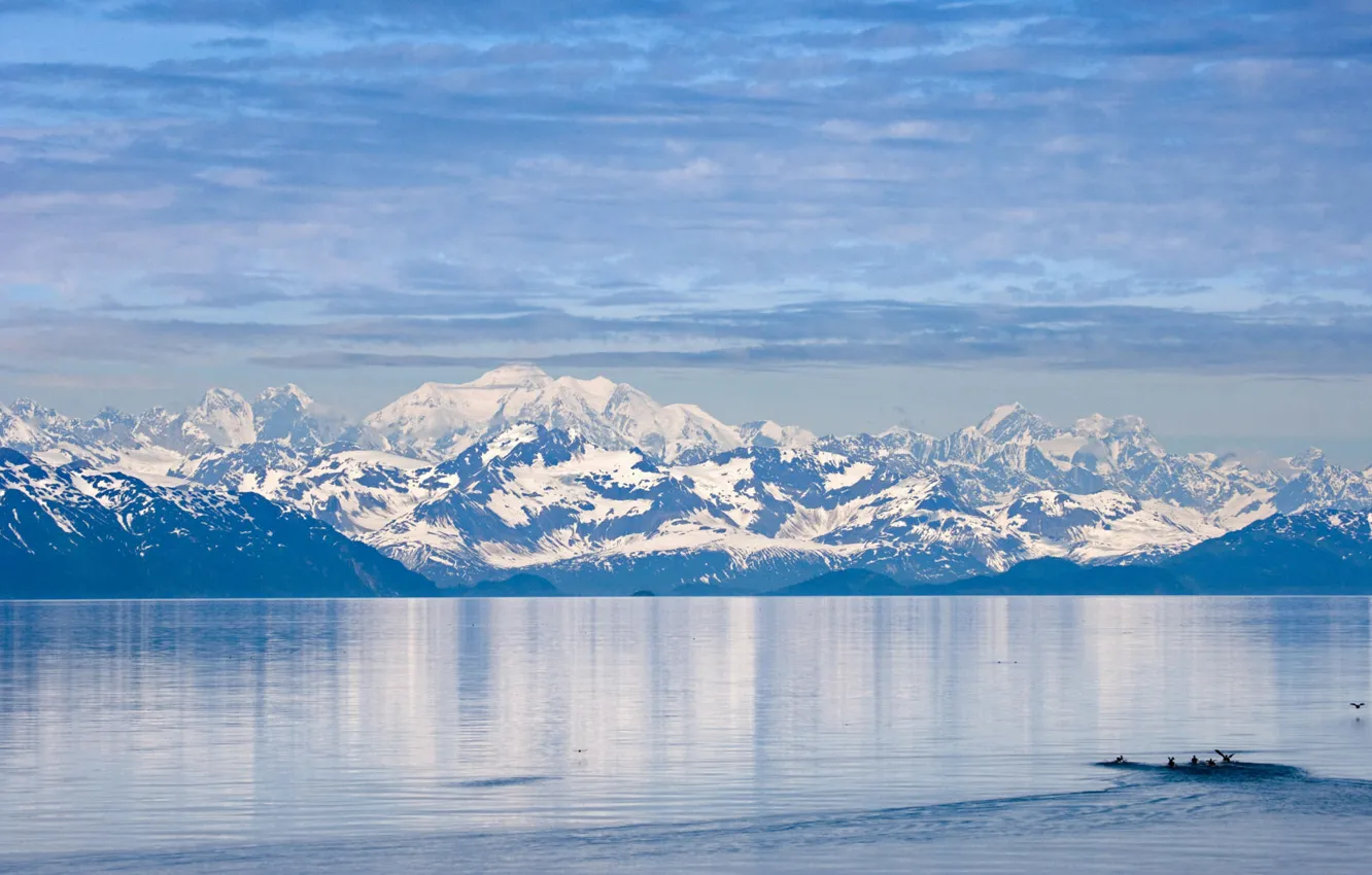 Photo wallpaper USA, park, national, bay, Glacier, Alasaka