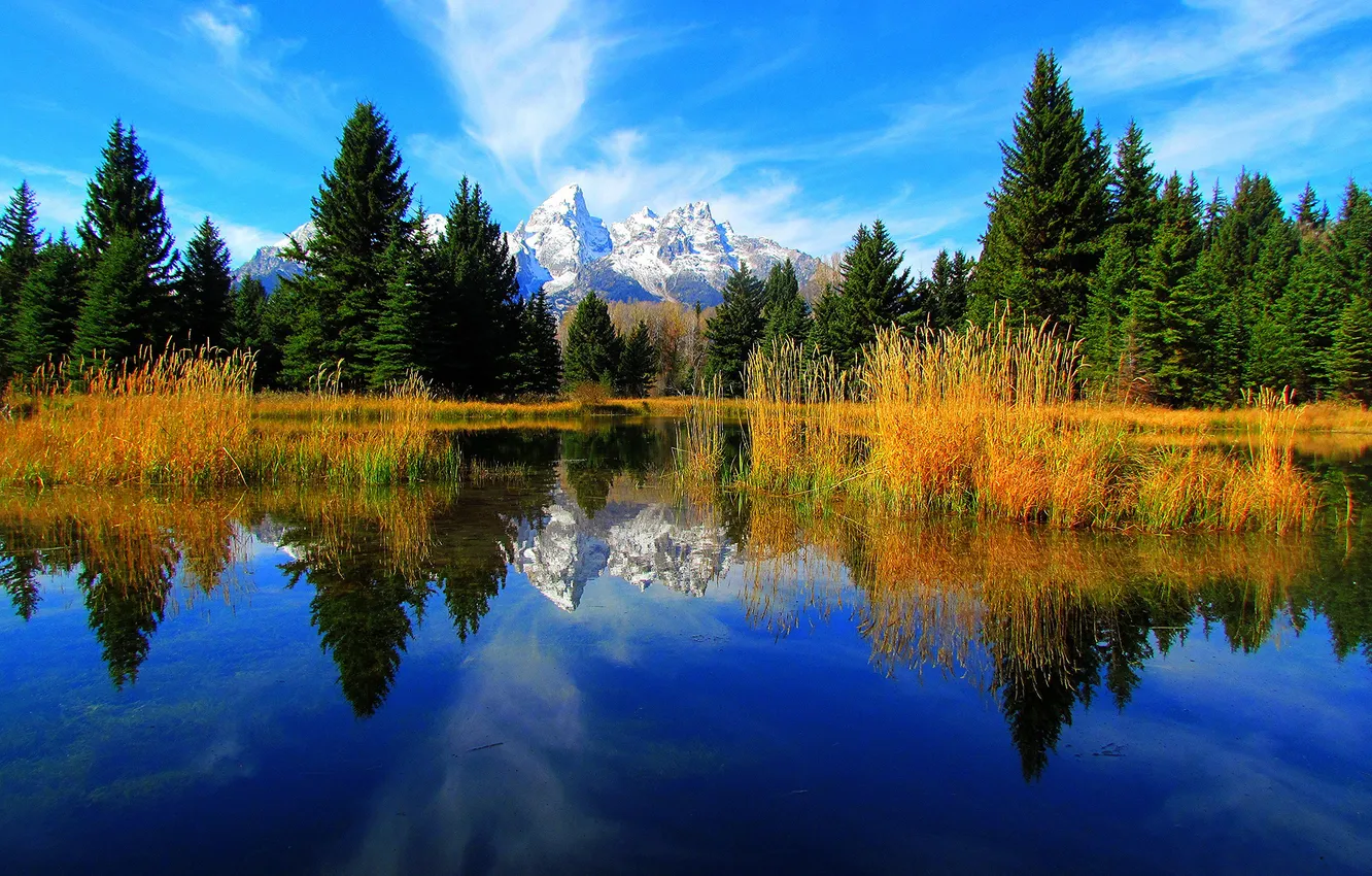 Photo wallpaper the sky, trees, mountains, lake, reflection, spruce, Wyoming, USA