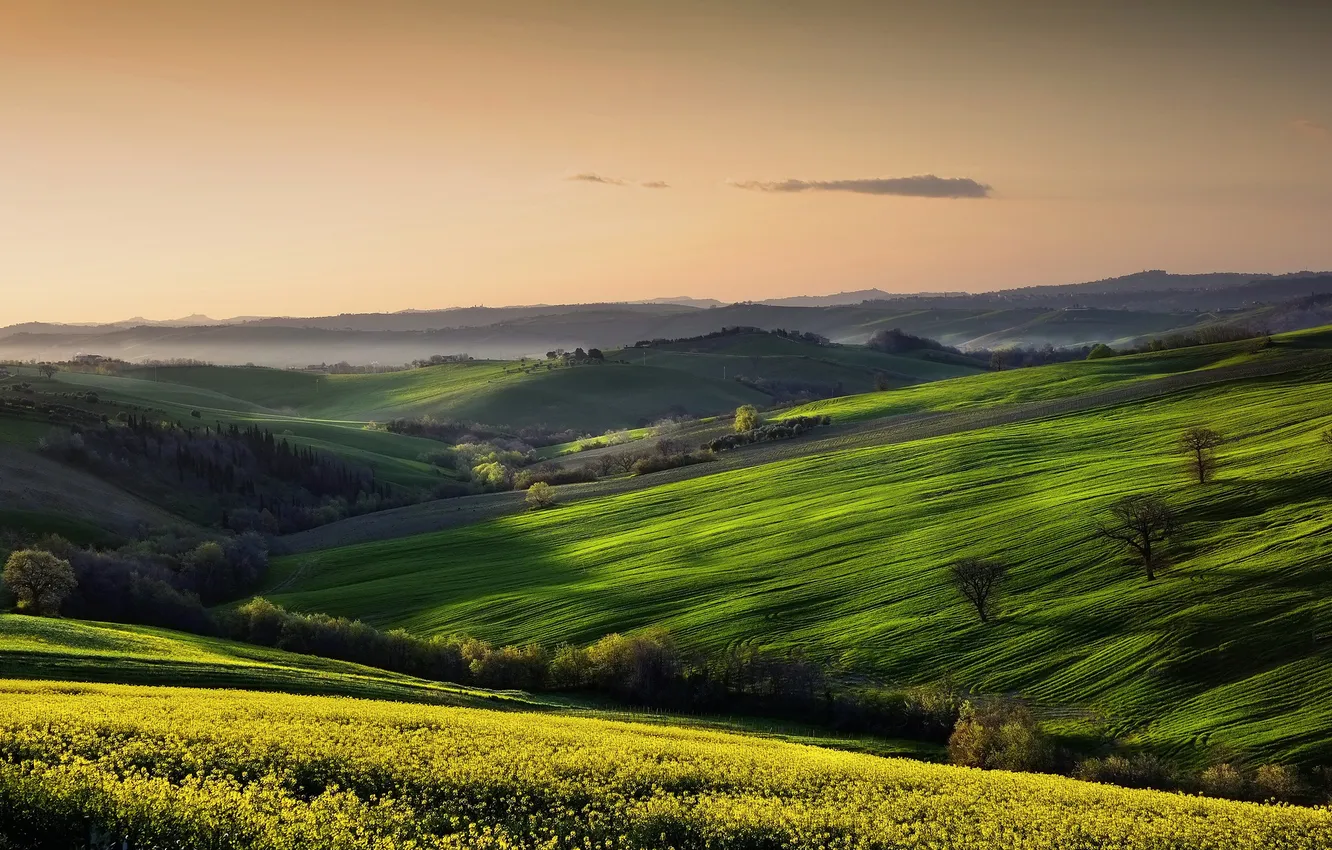 Photo wallpaper field, the sky, landscape