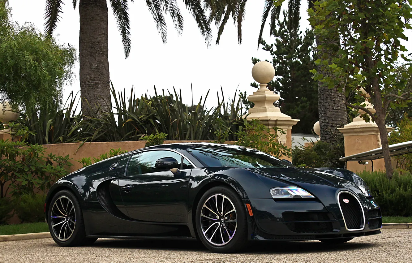 Photo wallpaper Bugatti, Veyron, Carbon, Blue, Super, Sport, Edition