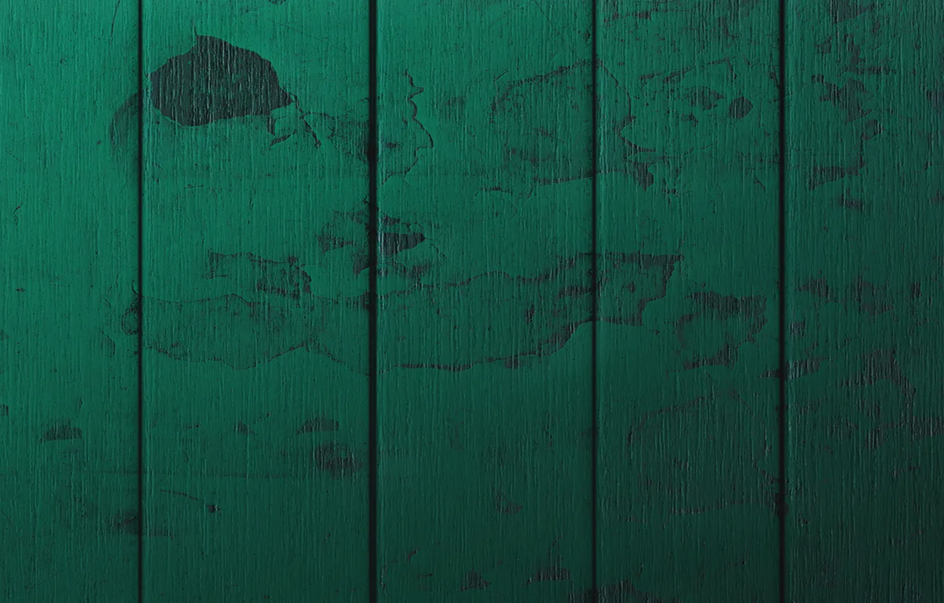 Photo wallpaper trees, Wallpaper, color, texture, floor