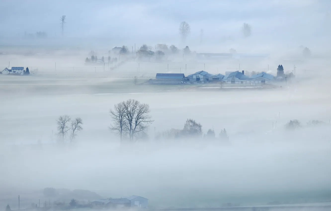 Photo wallpaper nature, fog, valley