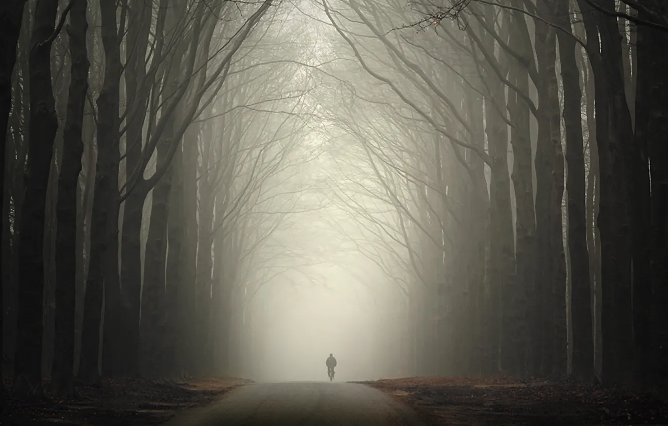 Photo wallpaper road, autumn, forest, fog, people