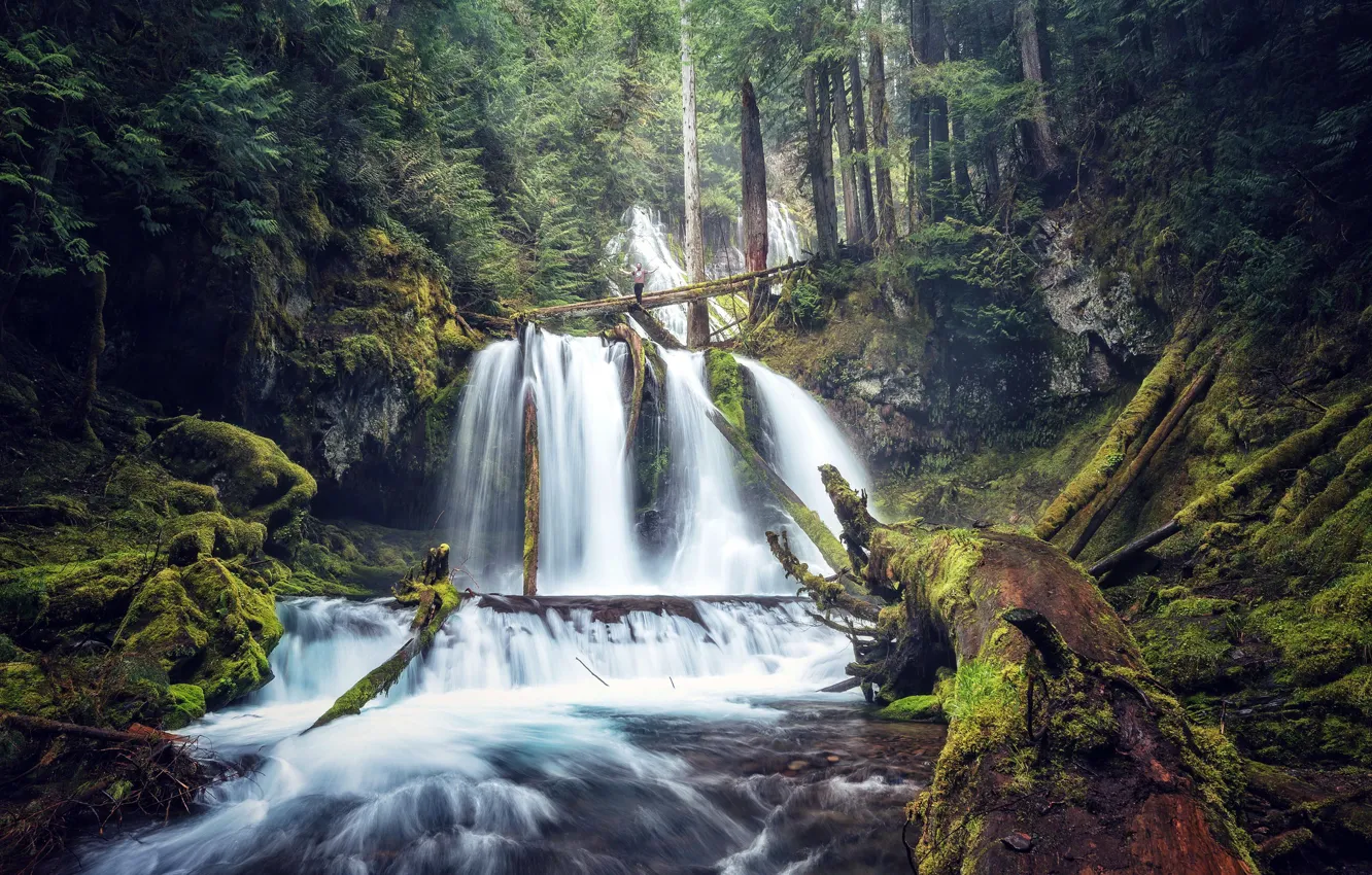 Photo wallpaper forest, river, waterfall