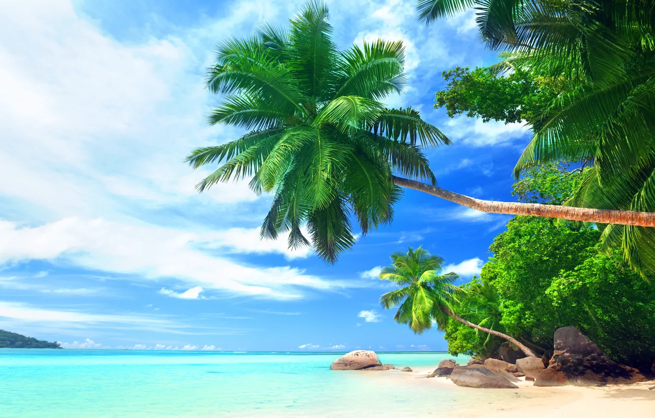 Photo wallpaper sea, beach, palm trees, the ocean, shore, tropical island