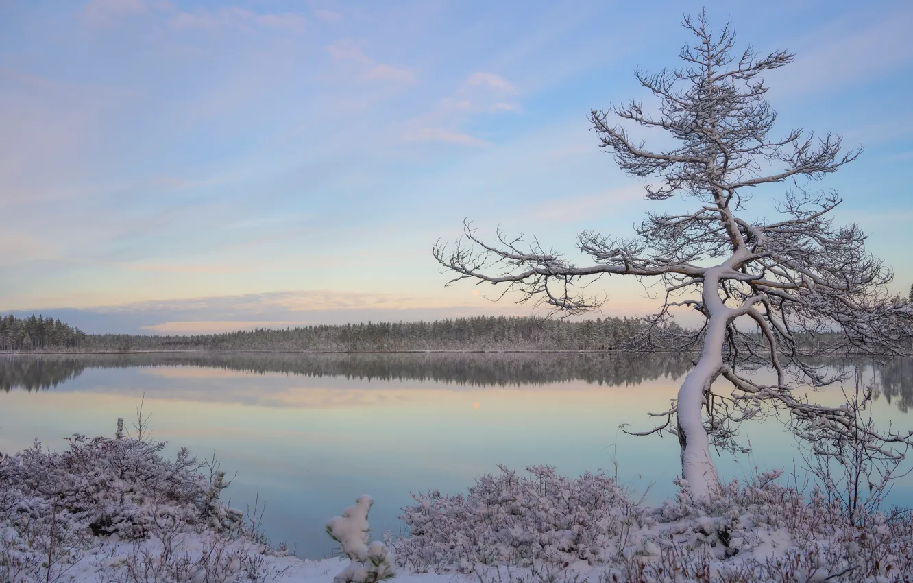 Photo wallpaper winter, frost, forest, the sky, water, clouds, snow, landscape