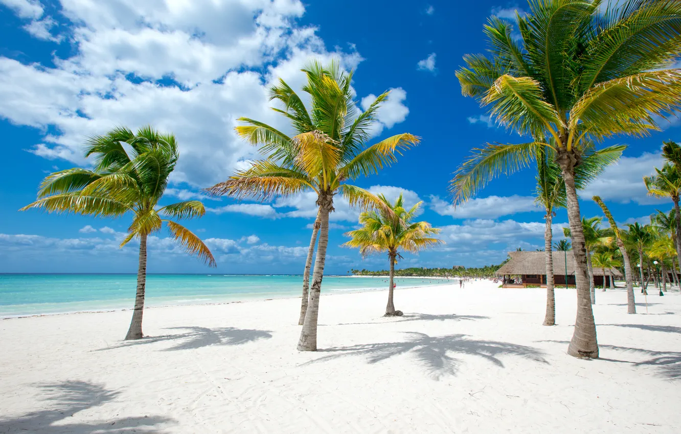 Photo wallpaper sand, sea, beach, summer, the sky, palm trees, summer, beach